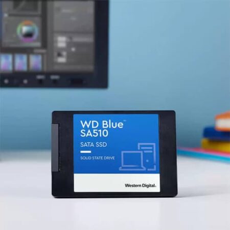 wds100t3b0a-image-3